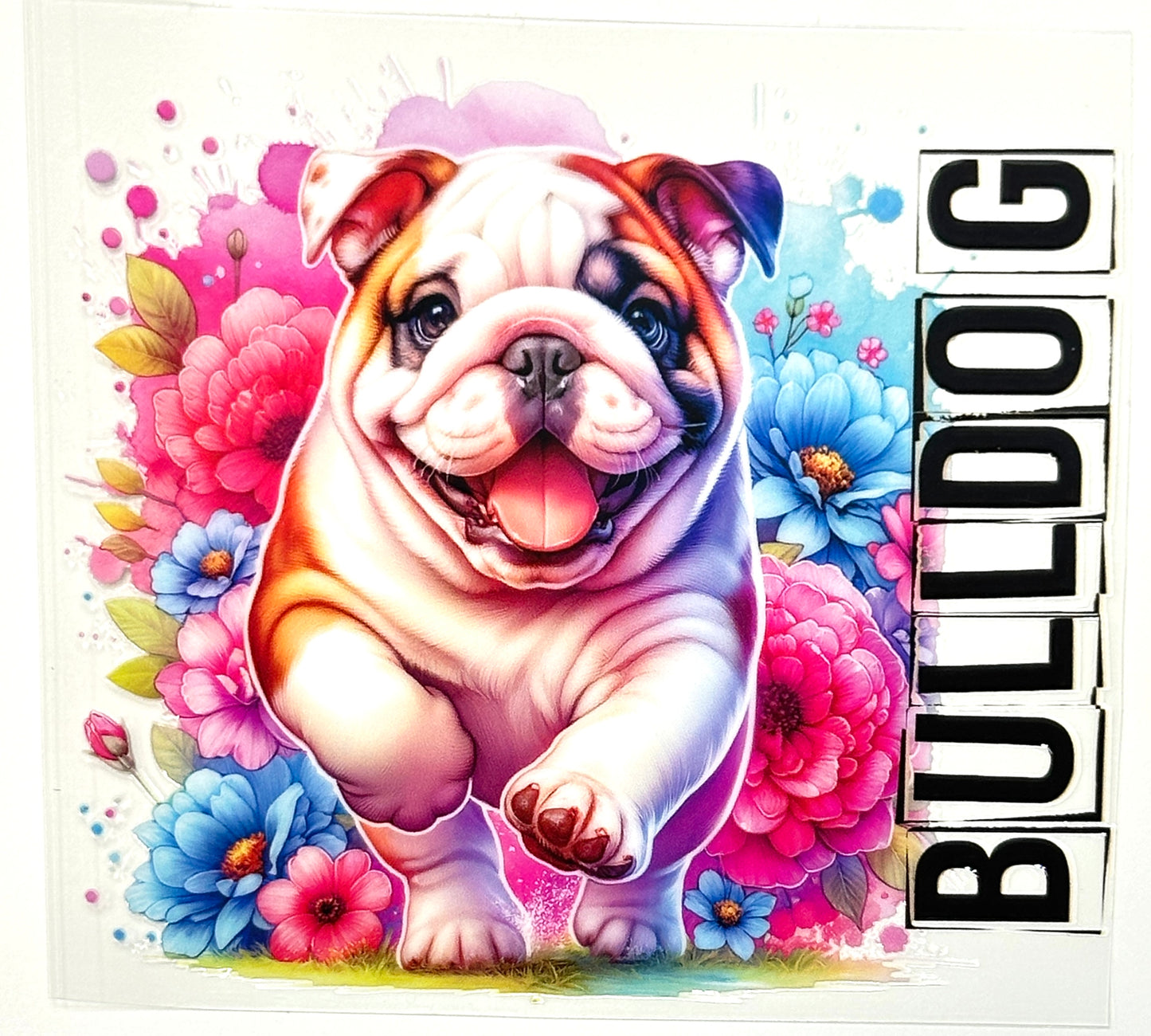 Bulldog Decal-416