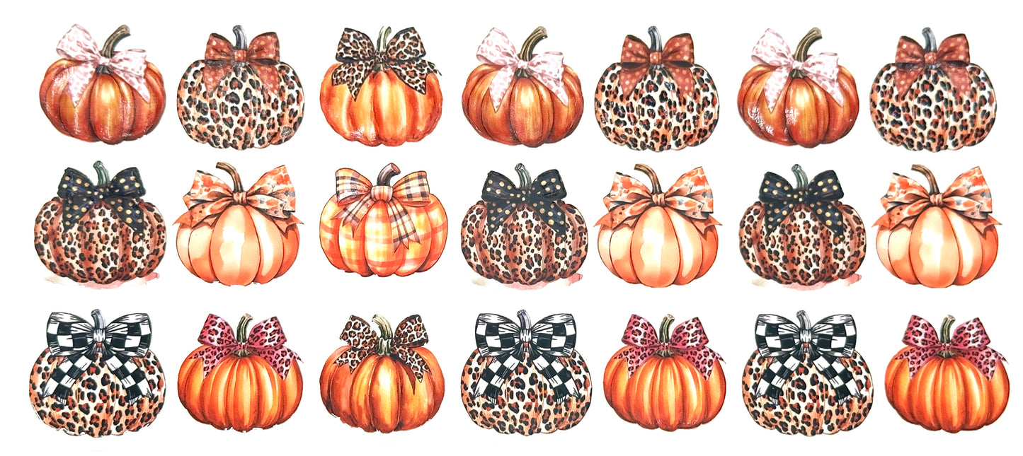 Pattern of pumpkins with bows on a white background