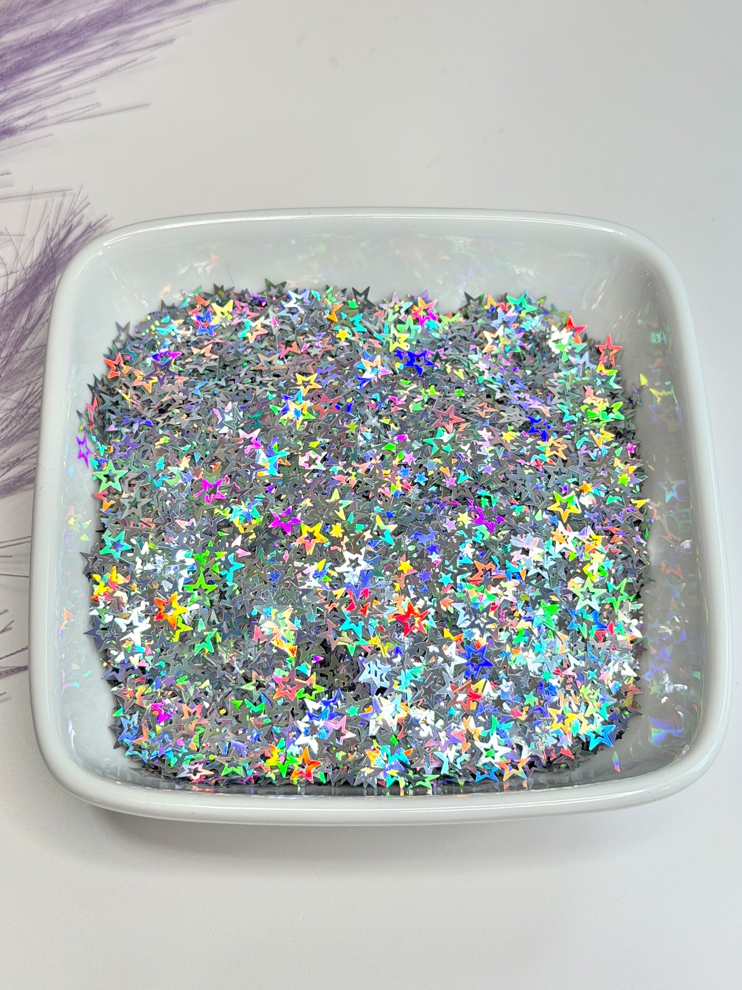 S113 Hollow Holo Silver Star Glitter