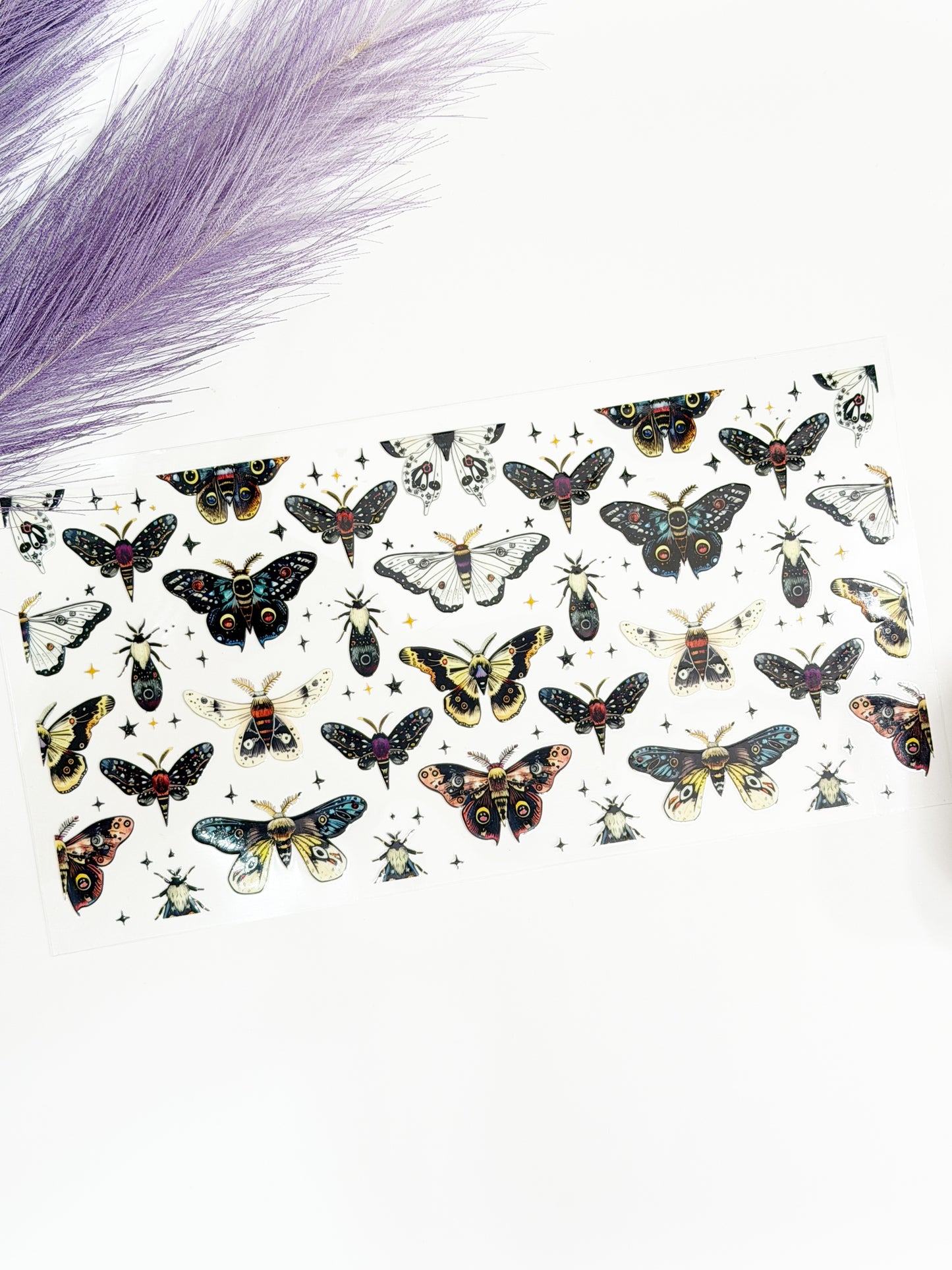 Variety of Moths Wrap-1344