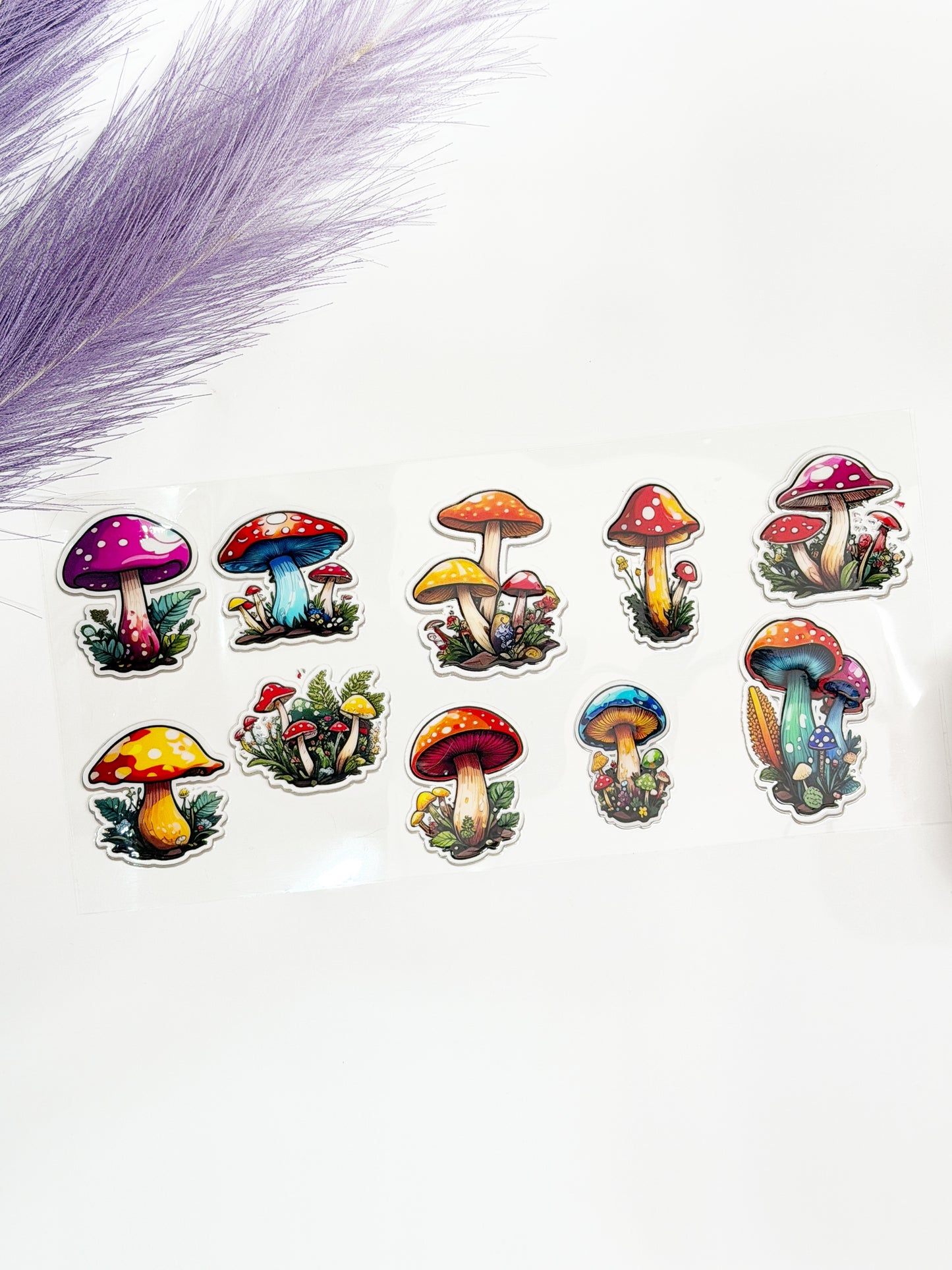 Variety of Mushrooms Wrap-1357