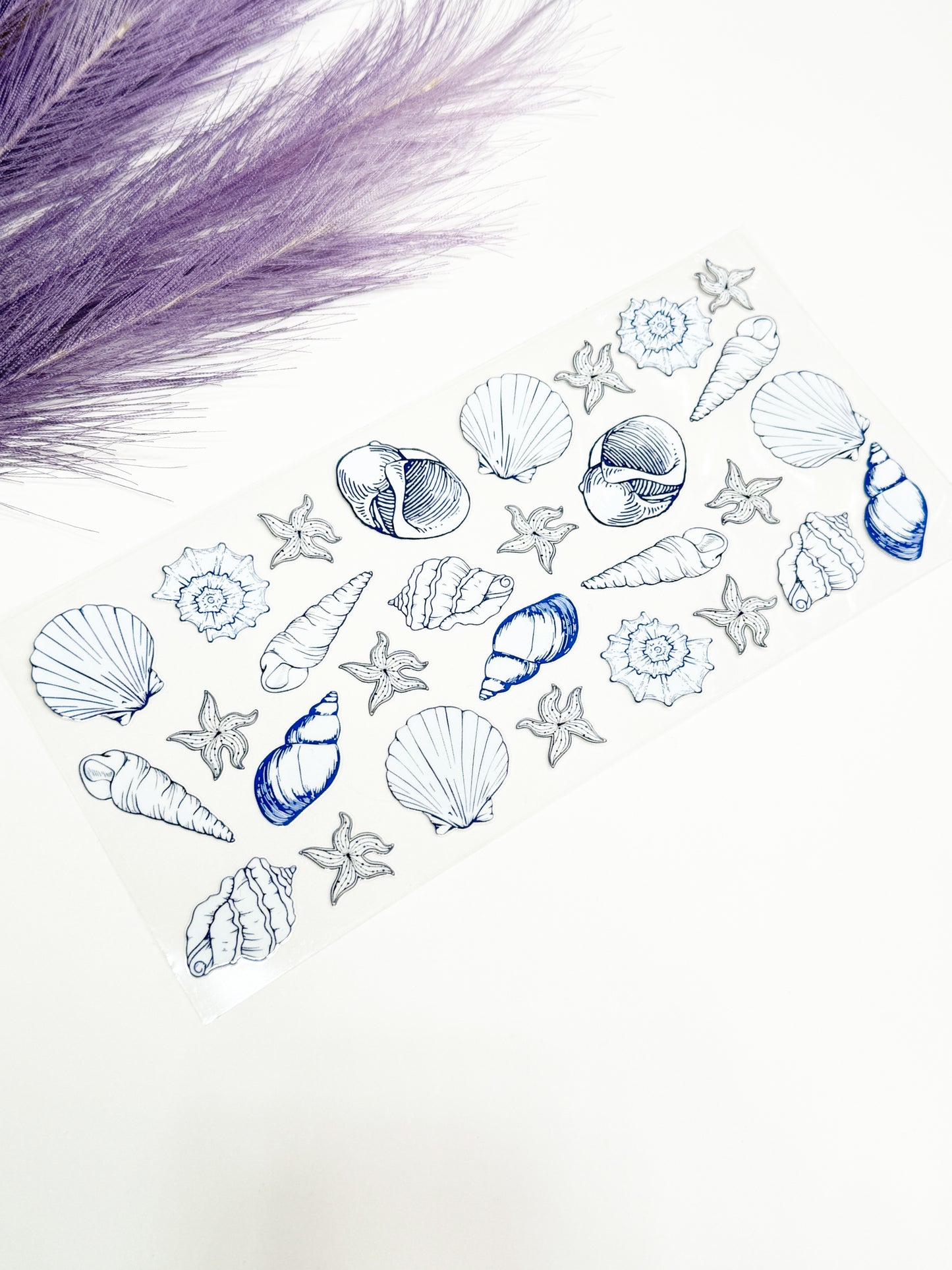 Blue Shells Wrap-1459