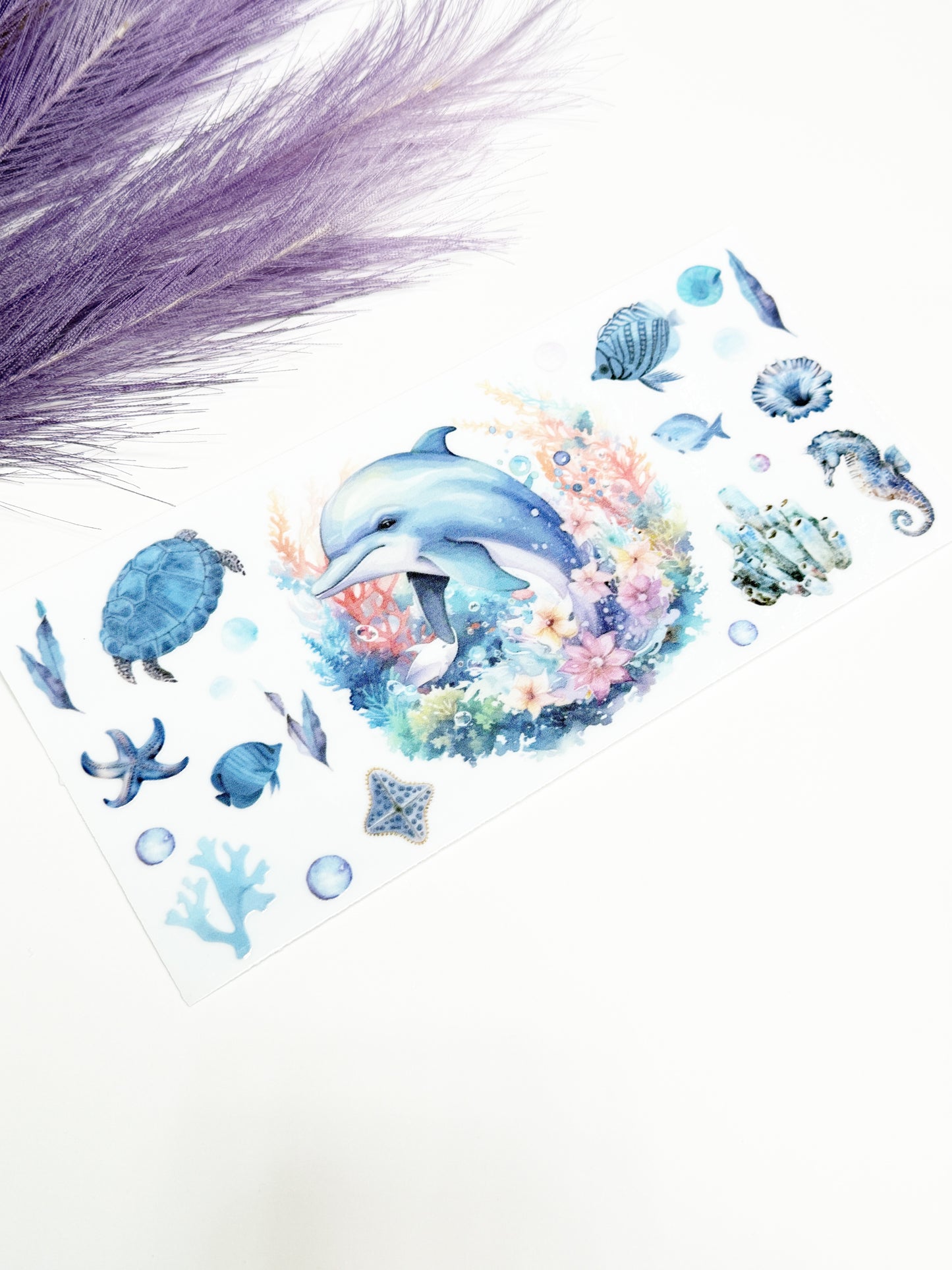 Dolphin Wrap-1460