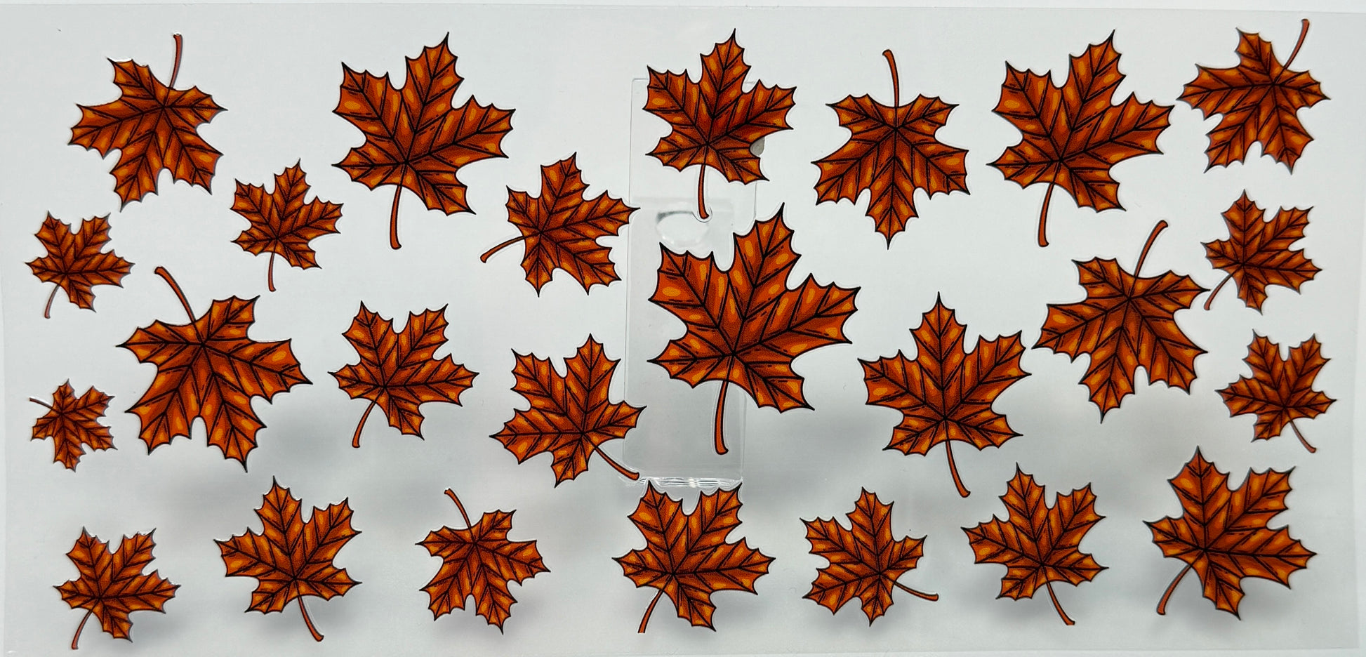 Pattern of brown maple leaves 
