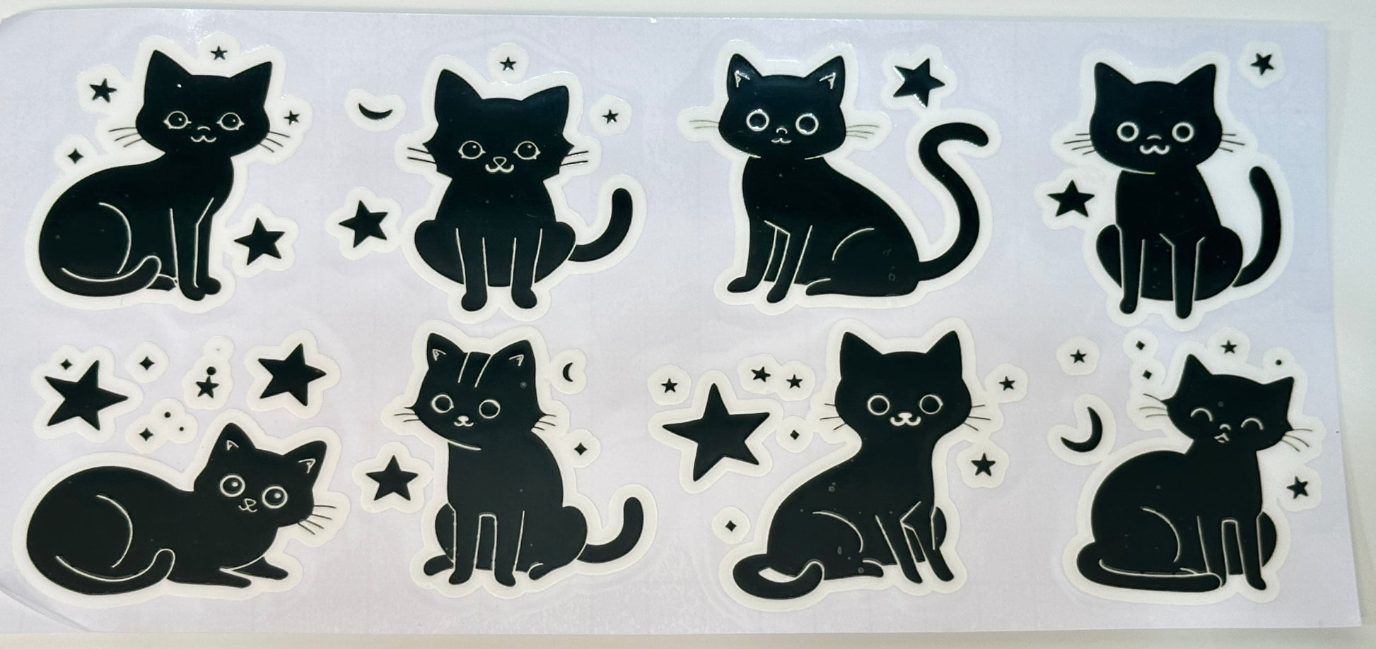 Black cat illustrations 