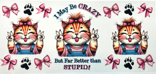 Cartoon cat with text 'I May Be Crazy But Far Better than STUPID!' surrounded by bows and paw prints.
