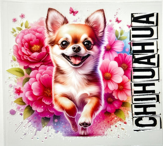 Chihuahua Decal-396