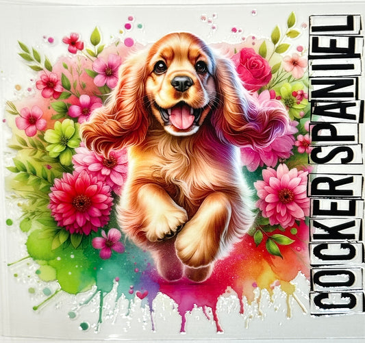 Colorful illustration of a Cocker Spaniel surrounded by flowers with the breed name displayed.