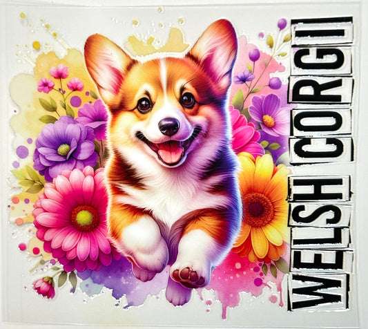 Colorful illustration of a Welsh Corgi surrounded by flowers 