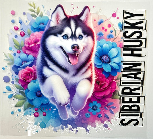 Colorful illustration of a Siberian Husky surrounded by flowers with 'Siberian Husky' text.