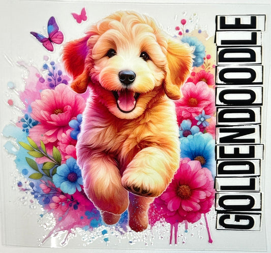 Illustration of a goldendoodle surrounded by flowers and butterflies with the word 'Goldendoodle' displayed.