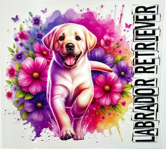 Labrador Decal-407