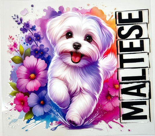 Maltese Decal-408