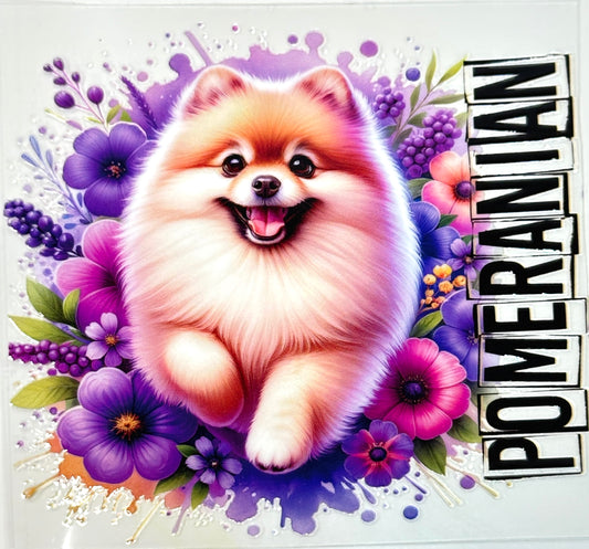 Pomeranian Decal-412