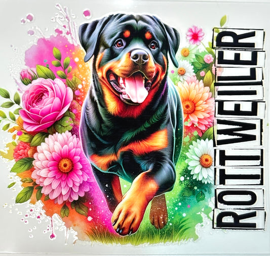 Colorful illustration of a Rottweiler surrounded by flowers with 'Rottweiler' text.