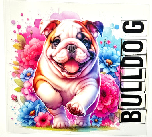 Bulldog Decal-416