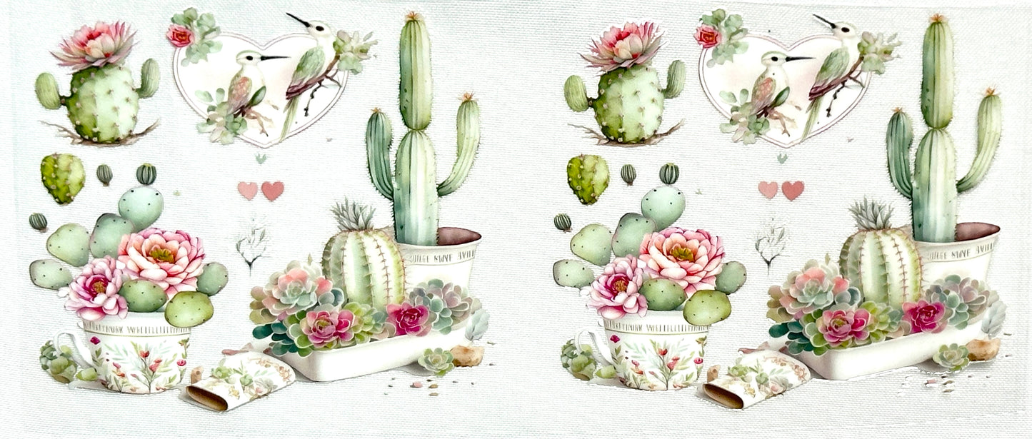Illustrations of cacti with flowers and birds 
