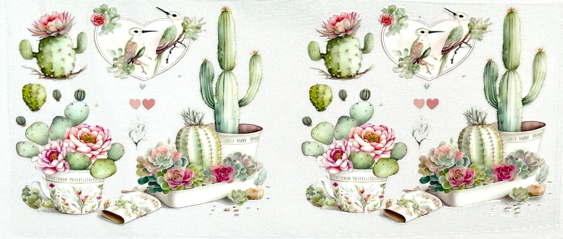 Illustrations of cacti with flowers and birds 
