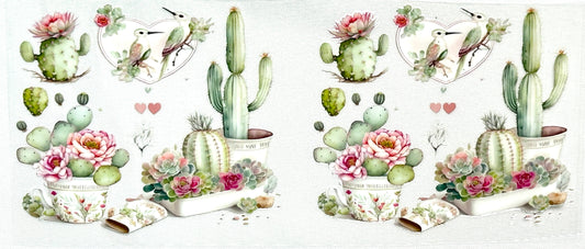 Illustrations of cacti with flowers and birds 