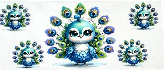 Peacock Wrap-523