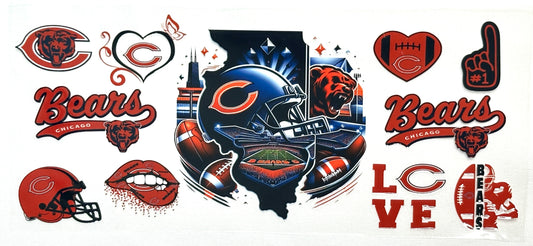 Bears Wrap-622