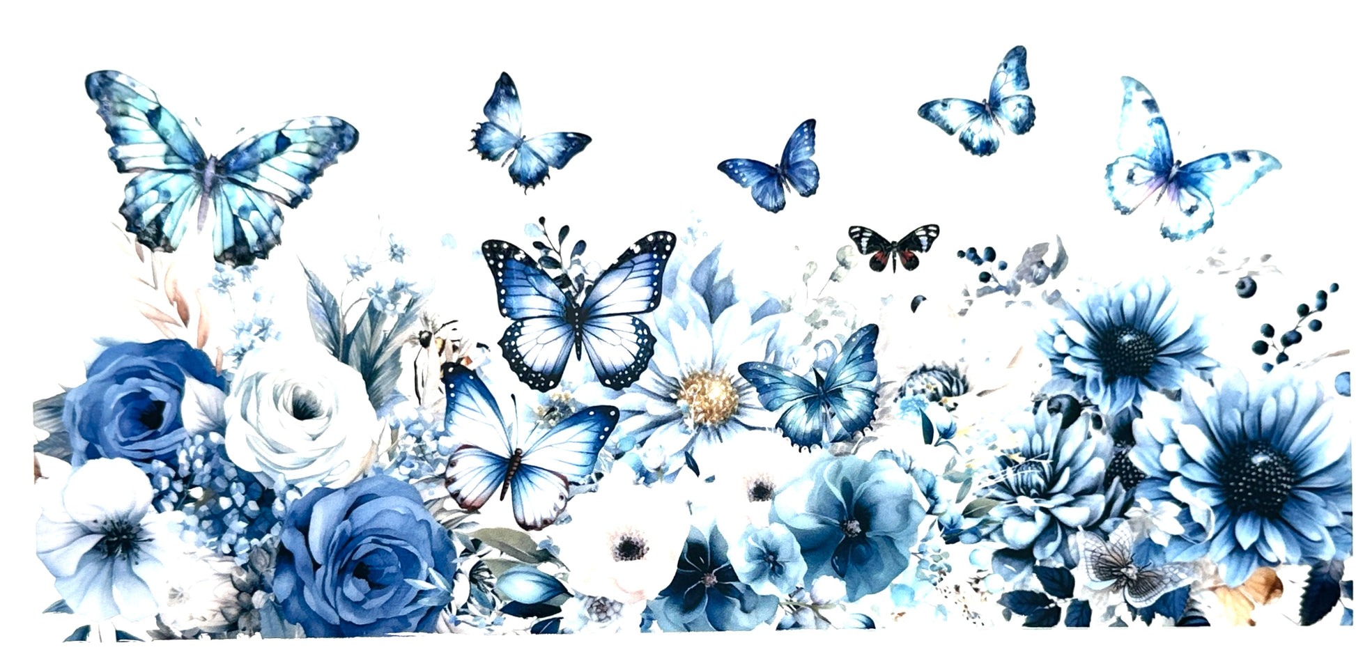 Blue butterflies and flowers on a white background