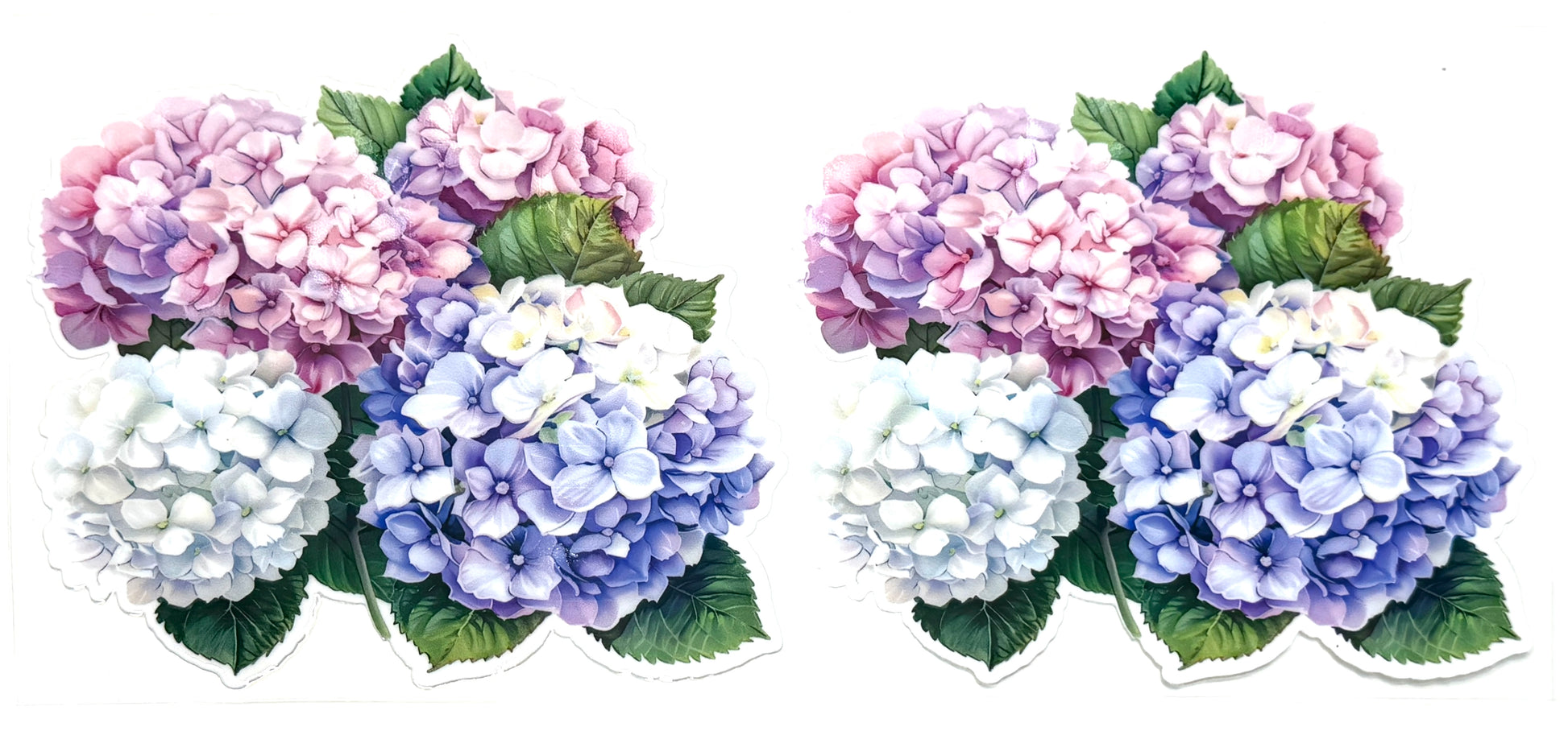 Two sets of hydrangea flowers in pastel colors on a white background
