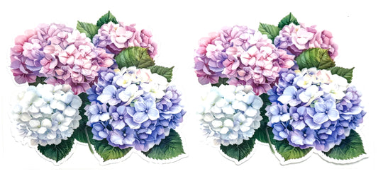 Two sets of hydrangea flowers in pastel colors on a white background