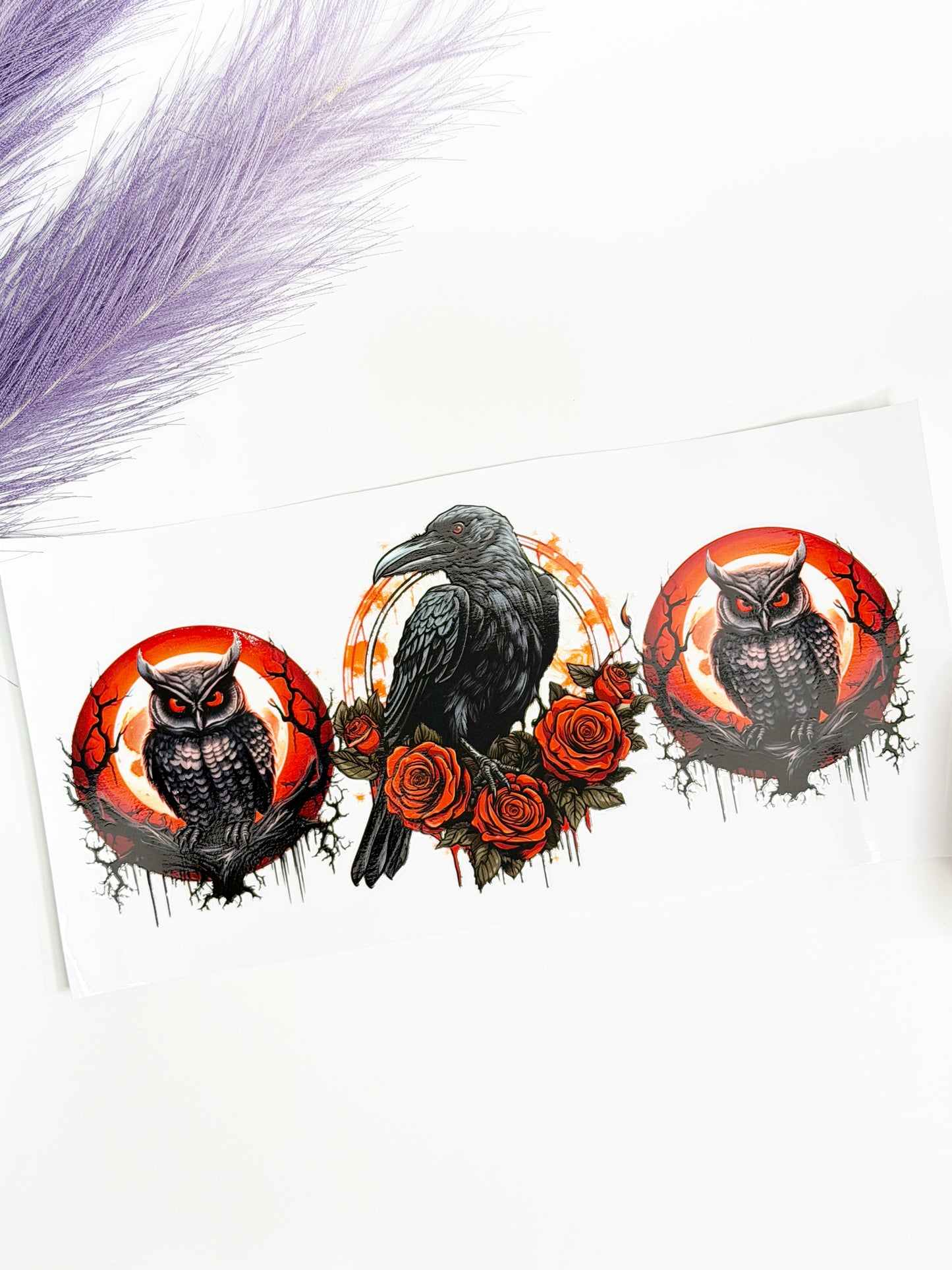 Raven and Owls Wrap-1328