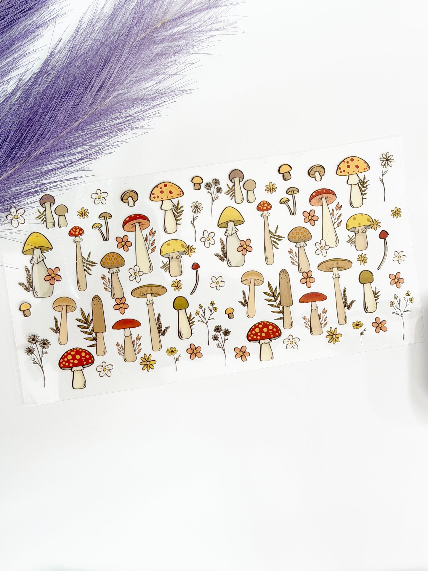 Variety of Mushrooms Wrap-1357