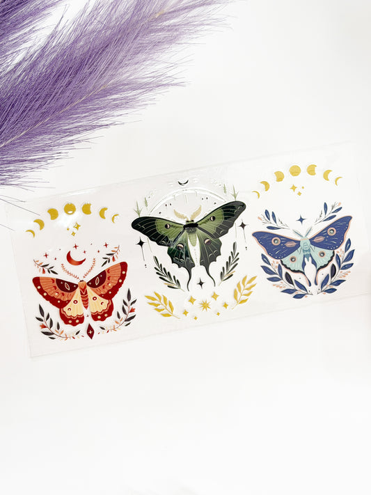 Colorful Moths Wrap-1387
