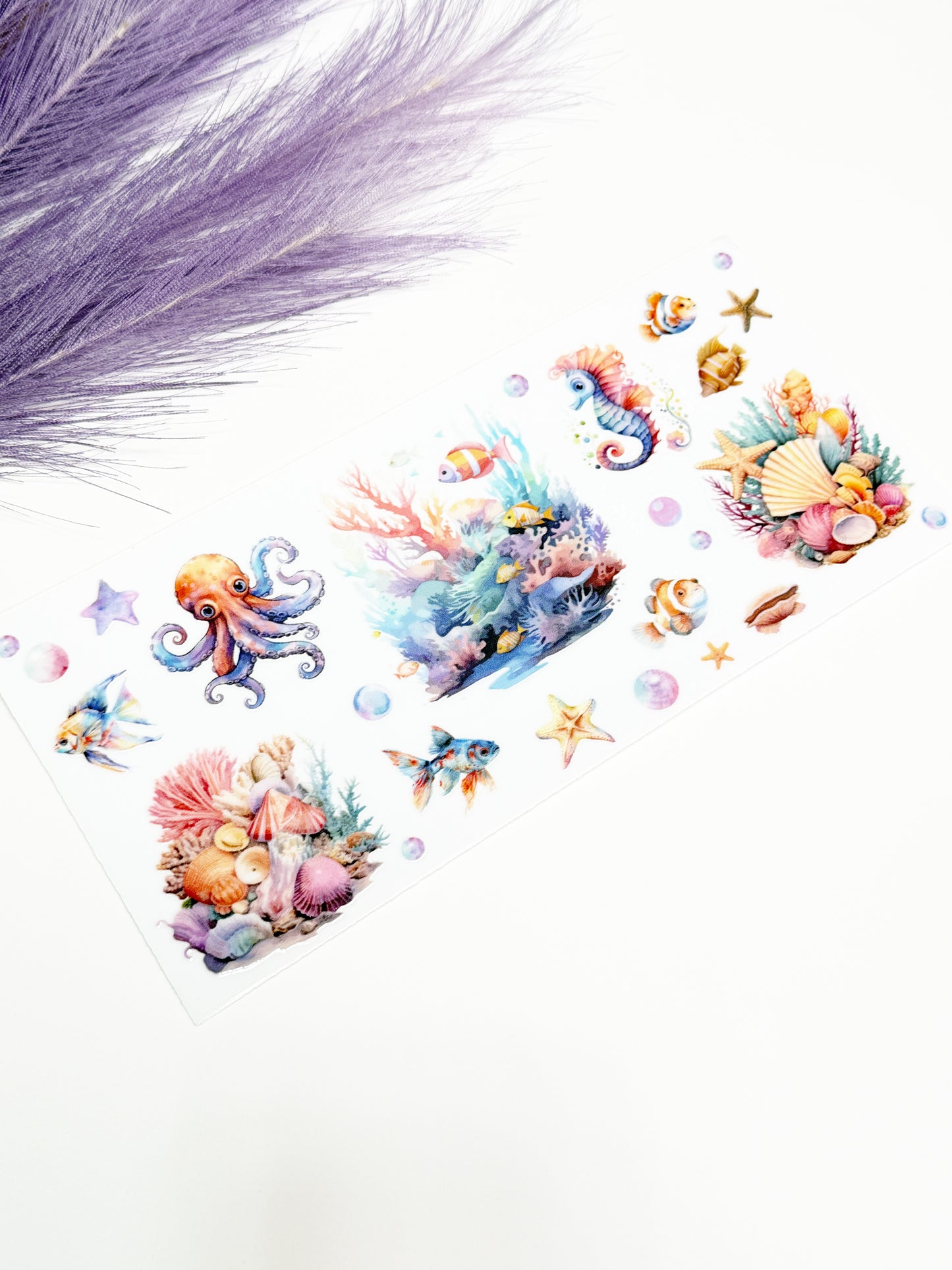 Colorful Sea Creatures and Coral Wrap-1461
