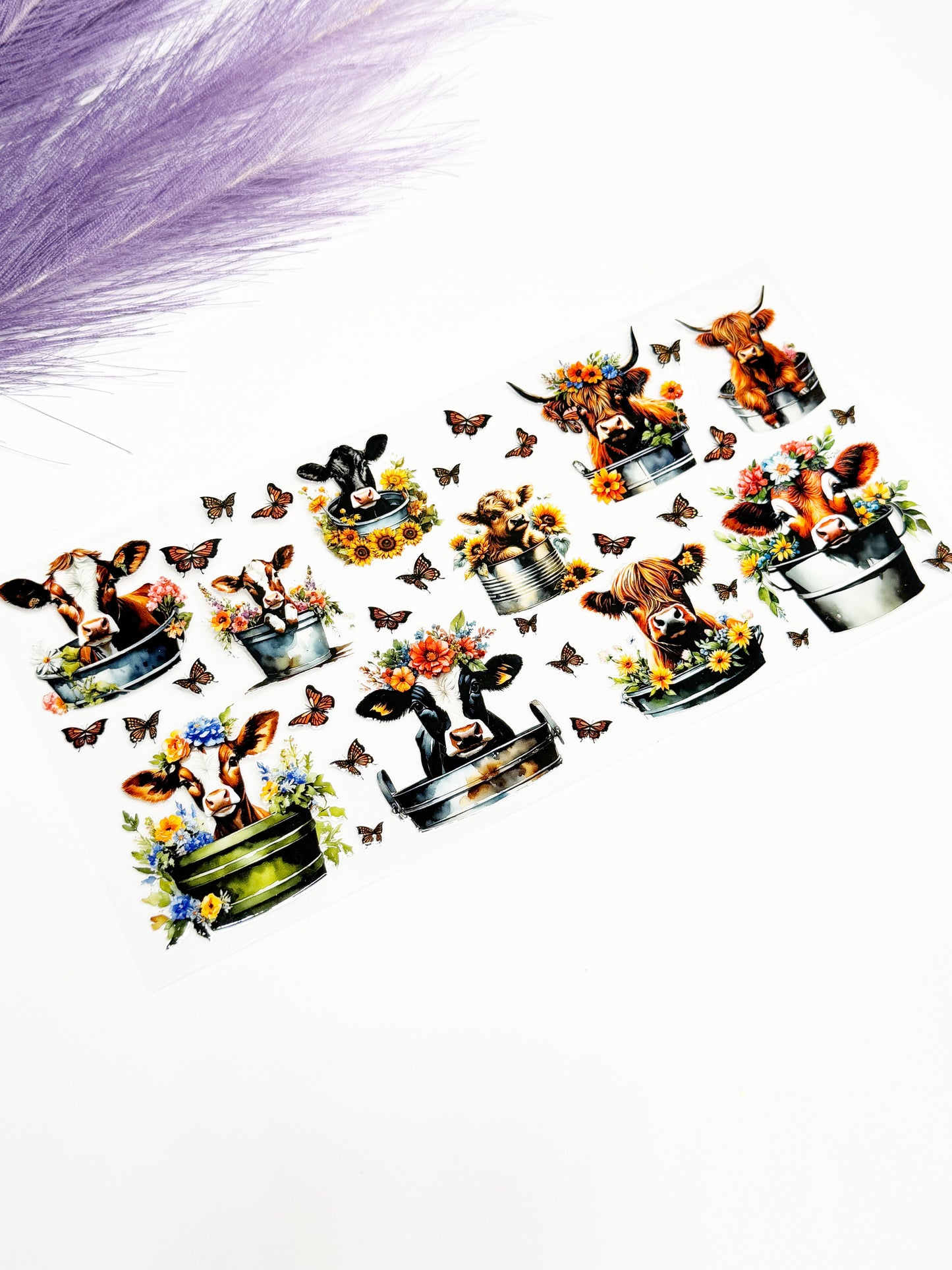 Cows in Buckets Wrap-1567