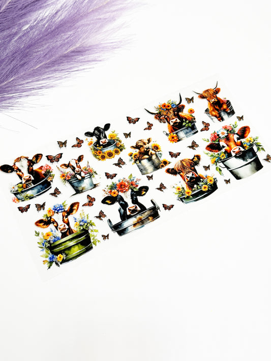 Cows in Buckets Wrap-1567